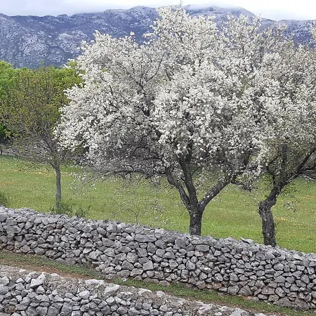 Dolovi אתר קמפינג *