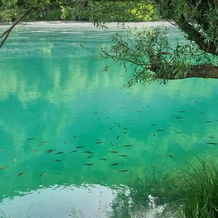 אתר קמפינג Dolovi