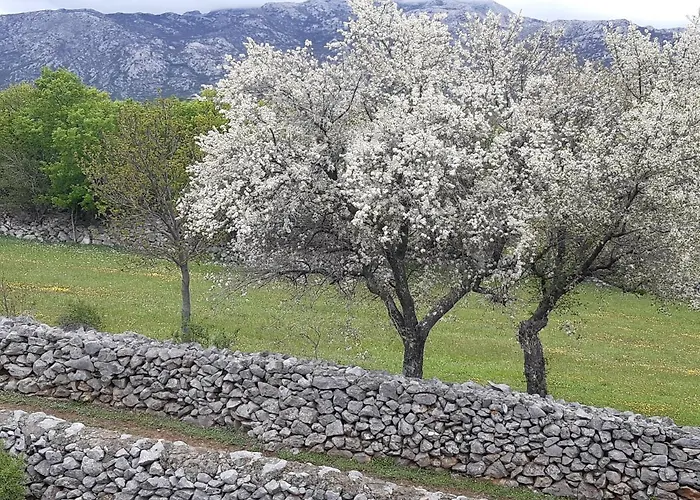 Dolovi Campingplads *