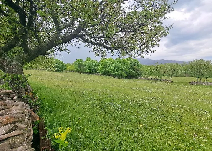 Dolovi Campingplads *